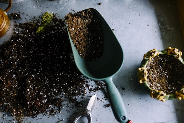 Gardener planting perennials in Garden8 nursery London