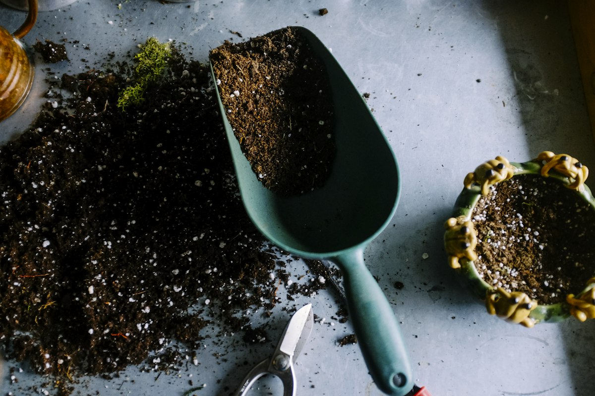 Live Tv — Garden8 UK