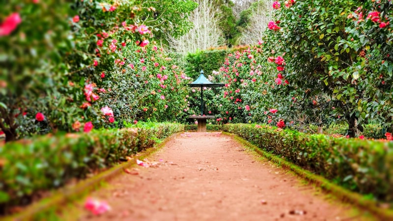 Family garden with terrace and play lawn